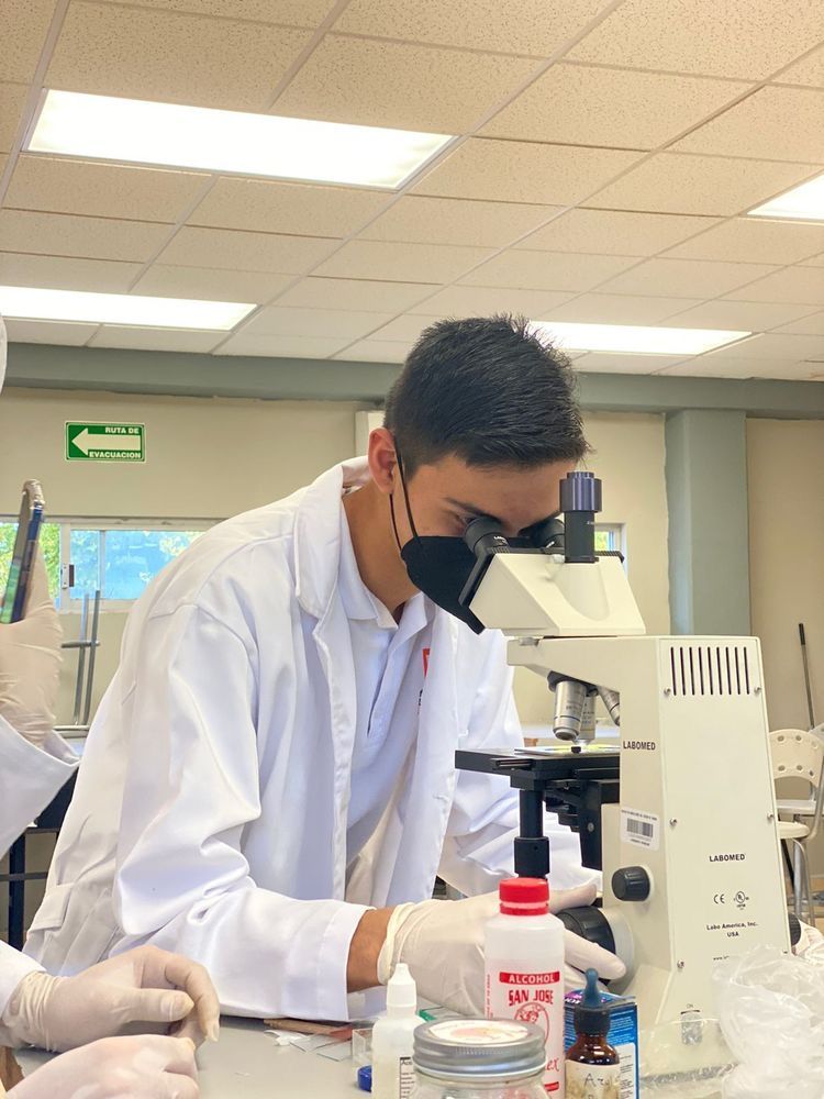 Siapa Penemu Mikroskop dan Perkembangannya dalam Dunia Ilmu Pengetahuan