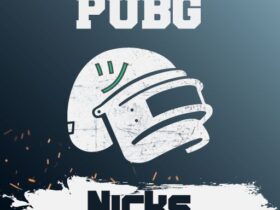 Nickname PUBG Keren: Ide Nama Unik, Simbol, dan Tips Membuat Nama PUBG yang Menonjol